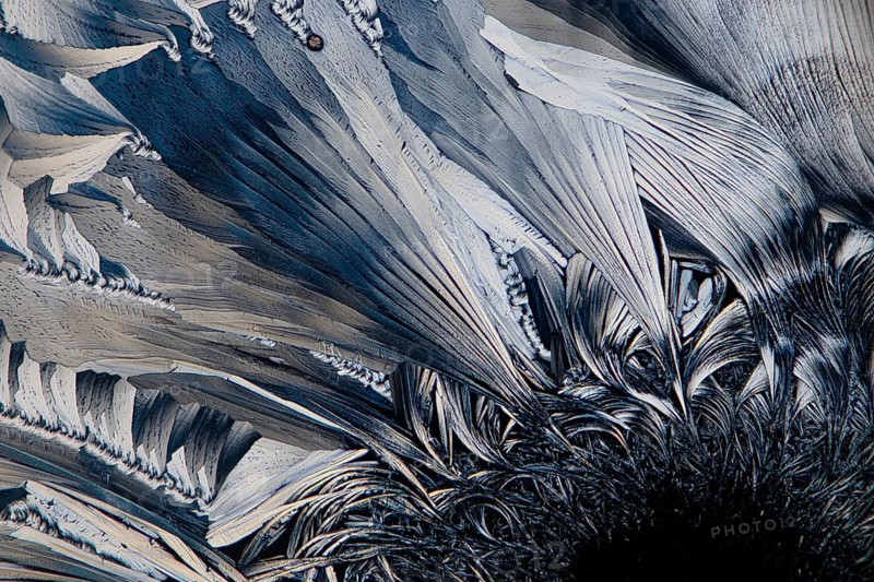 A captivating monochrome microscopic image exhibiting the complex crystalline structure of salicylic acid