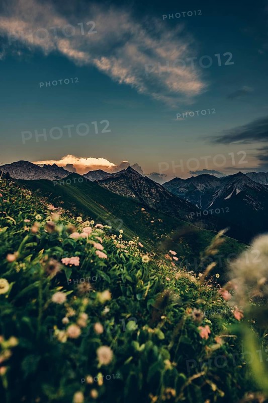 Hiking tour on the Hönig mountain in the Lechtal valley near Berwang in Tyrol, Austria