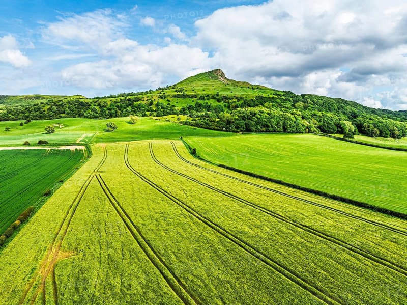 Roseberry Topping from a drone, Great Ayton, Newton, North Yorkshire, England, United Kingdom