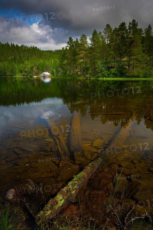Old tree lying in the water of a lake, portrait format, landscape photo, clouds, boathouse, Tynset, Innlandet, Norway