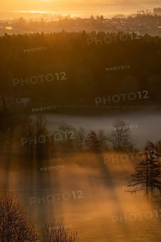 Sunrise and morning fog, Black Forest near Freudenstadt, Baden-Württemberg, Germany
