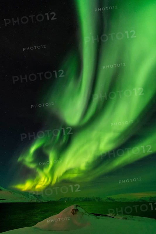 Northern Lights (Aurora borealis), Hasvik, Söröya, Finnmark, Norway, February 2019