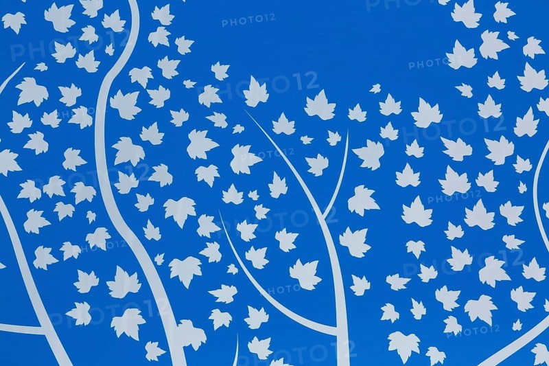 Close-up of white maple leaves in the wind theme motifs on backlit blue tinted plexiglass panel canopy in interior of interactive cocoon rocking chair made by Olivier Landreville, Horizon Art Installation, Ile des Moulins, Old Terrebonne, Quebec, Canada