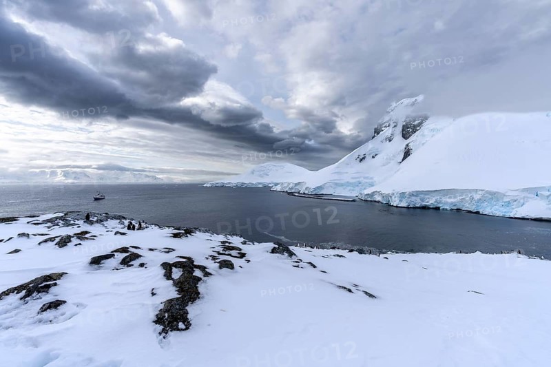 Coastal landscape with gentoo penguins (Pygoscelis papua) on snow-covered rocks, expedition ship in front of glacier front and snow-covered mountains under cloudy sky, Danco coast, Antarctic Peninsula, Antarctica