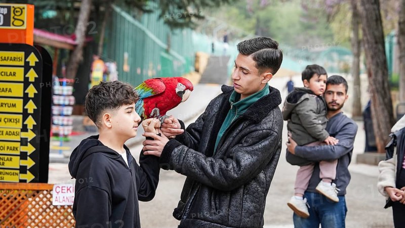 GAZIANTEP, TURKEY - APRIL 18, 2026: Visitors enjoy an early spring stroll at Gaziantep Wildlife Park. Ranked as the largest zoo in Turkey, the second largest in Europe, and fourth globally, the park is a major attraction home to 380 diverse animal species, Gaziantep, Turkey