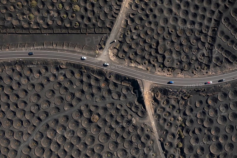 Overhead shot of unique vineyard layout with circular pits and vines nestled inside, surrounded by black volcanic soil in La Geria, Lanzarote