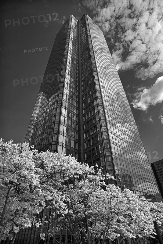 High-rise office building in La Défence, largest office building district in Europe, black and white, Paris, France