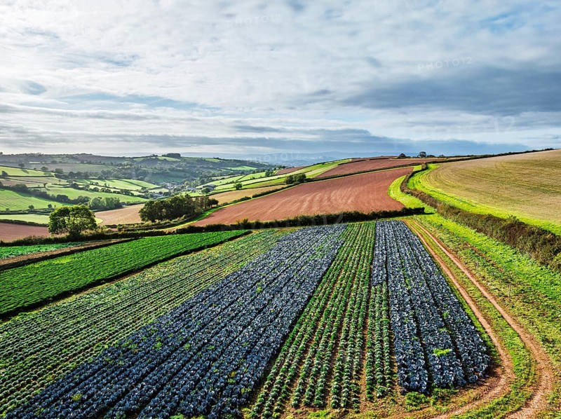 Fields and Farms at evening sun from a drone, Shaldon, Torquay, Devon, England, United Kingdom