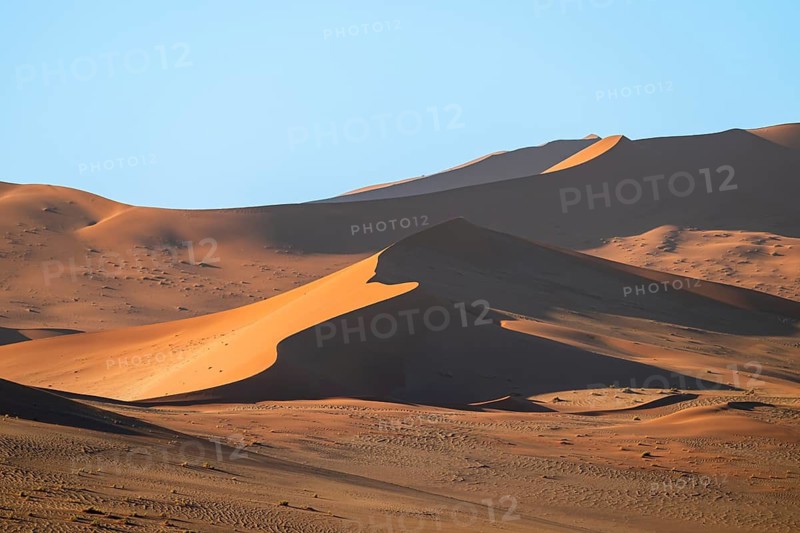 Red sand dunes, Sossusvlei region, Namib Desert, Namib-Naukluft National Park, Namibia