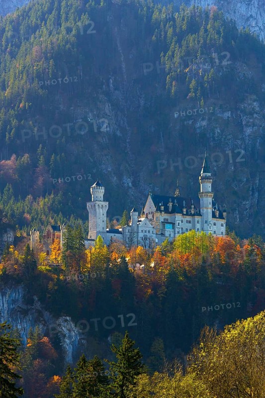 Fairytale castle in autumn, surrounded by colourful trees in an alpine landscape, Neuschwanstein Castle, near Füssen, Ostallgäu, Allgäu, Bavaria, Germany