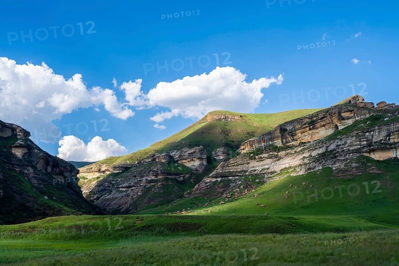 Grassland with sandstone cliffs and cliffs, landscape in Golden Gate Highlands National Park, Free State, South Africa