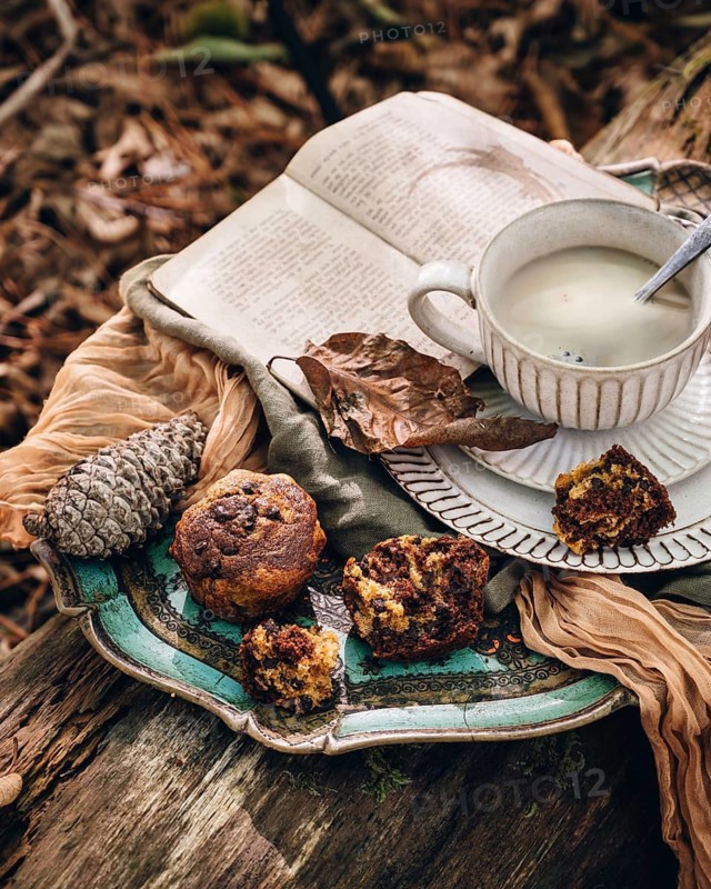 A serene autumn setting features pumpkin chocolate chip muffins on a vintage plate, accompanied by a hot cup of milk, an open book, and a pinecone, evoking cozy seasonal vibes