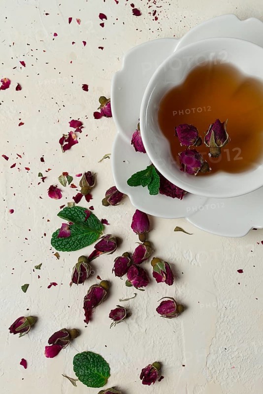Cup of tea, damask rose, pink tea, close-up