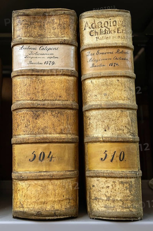Dictionary of seven different Brazilian languages, antique books from 1574 and 1579, bound in pigskin, Bavaria, Germany