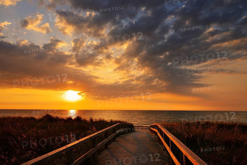 Wooden walkway through the dunes on the Baltic Sea at sunrise, Dahme, Ostholstein, Germany