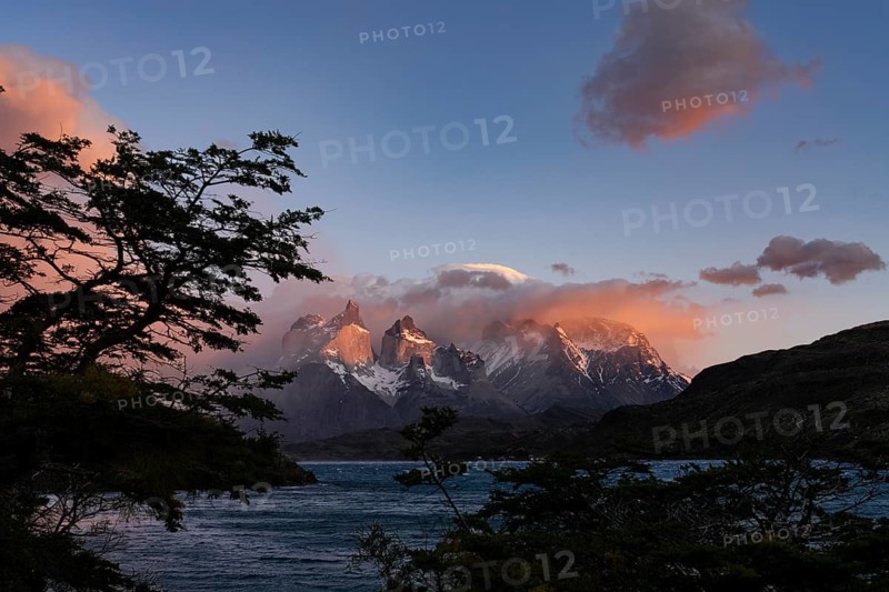 Cuernos del Paine at sunrise with pink clouds, Lake Pehoé in the foreground, framed by southern beech trees, Torres del Paine National Park, Patagonia, Chile