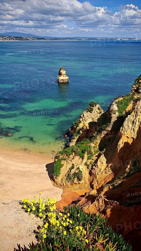 Bright beach near cliffs lined with yellow flowers overlooking the sea, Praia do Camilo, Lagos, Algarve, Portugal