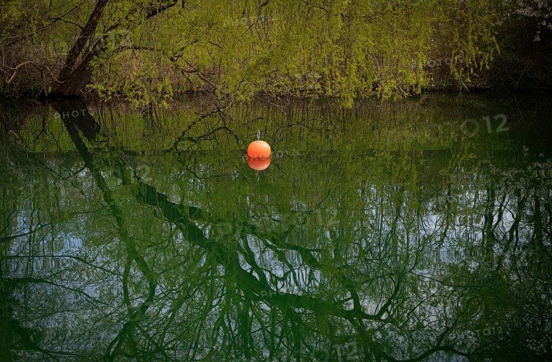 Red buoy, waterfront, Max-Eyth-See, Hofen, Stuttgart, Baden-Württemberg, Germany