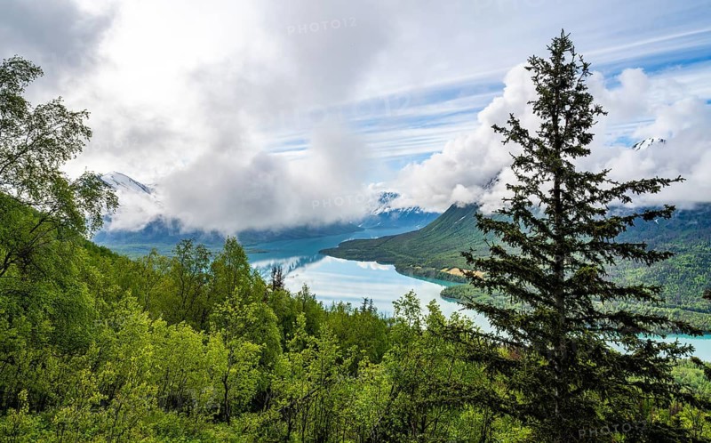 View of snowy mountains in spring and turquoise blue Kenai Lake, Slaughter Ridge Trail, Cooper Landing, Kenai Peninsula, Alaska, USA