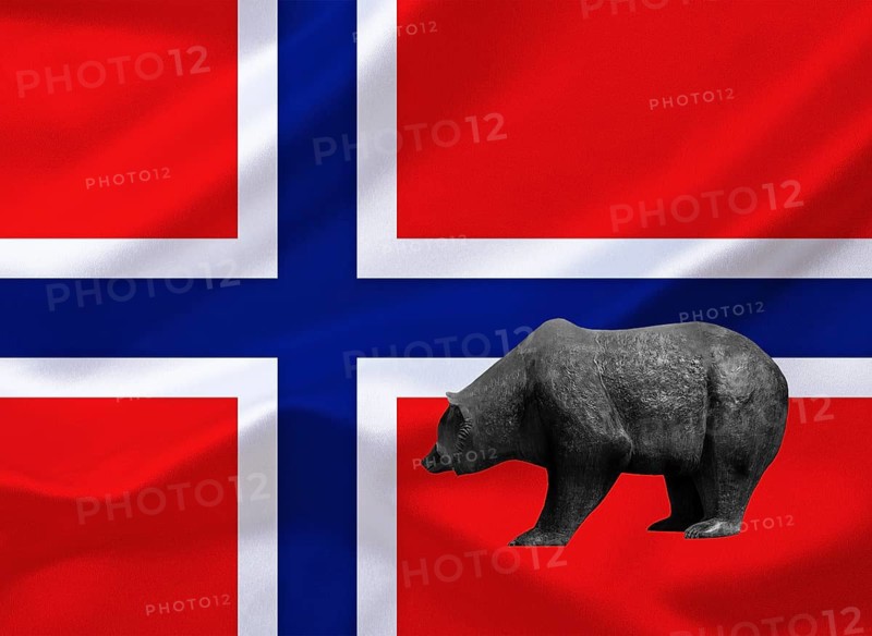 Stock market, stock prices in Norway, bear market, falling prices, flag, national flag, bear, bull and bear, symbolic figures of the stock exchange, Norway, Oslo, studio recording, Federal Republic of Germany