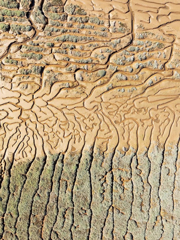 Network of channels and streams at low tide. In the marshland adjacent to the Odiel river. Aerial view. Drone shot. Huelva province, Andalusia, Spain