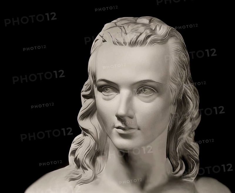Portrait of Georg Philipp Friedrich Freiherr von Hardenberg, pseudonym and pen name Novalis, 1772 - 1801, German poet of Early German Romanticism, digitally edited after a bust at his grave