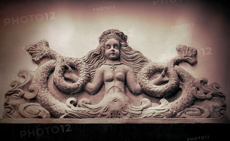 Mythological Mermaid Creature, wall decoration, Welf Castle of Herzberg, Herzberg am Harz, district of Göttingen, Lower Saxony, Germany, digitally edited