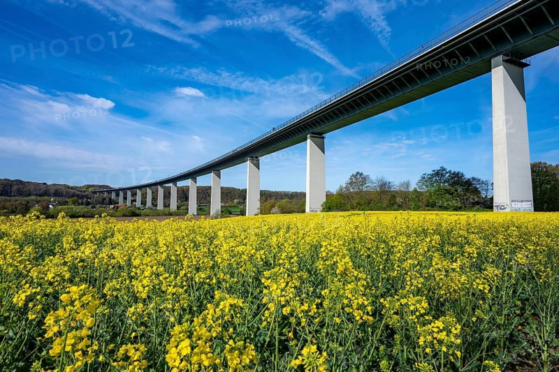 Long traffic jam on the Mintarder Ruhr Valley Bridge, A52 motorway bridge between Essen and Düsseldorf, in the direction of Essen, caused by single-lane traffic due to long-term work on the transition construction of the bridge to the roadway, since the end of January 2026, daily long traffic jams, sometimes more than 20 minutes late, duration of the measure not yet precisely foreseeable, the district of Mintard, spring, rapeseed, longest Steel road bridge in Germany, completed in 1966, 1830 meters long, 18 hollow pillars, highest point above ground are 65 meters, is used by more than 80, 000 vehicles a day, is considered dilapidated and is to be replaced, the bridge spans the Ruhr Valley between Essen-Kettwig and Mülheim an der Ruhr, North Rhine-Westphalia, Germany