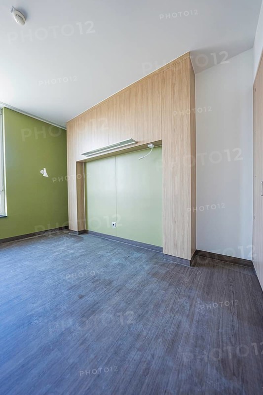 Empty room with minimalistic wood paneling and green wall, optional patient room in the new hospital, Calw, Germany