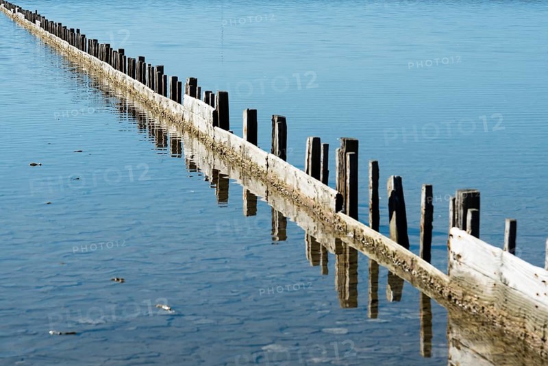 Still life, water, gate, fence in water, barrier, partition