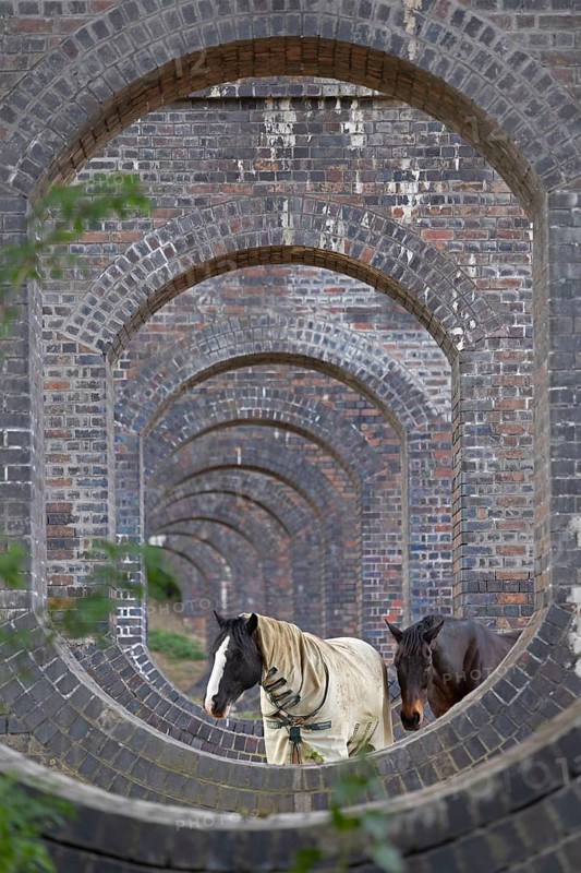 View through openings in piers of a railway viaduct, horses, Stanway, Broadway, The Cotswolds, England, Great Britain
