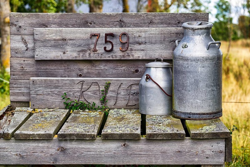 Two old metal milk cans, large and small, rustic decoration on a wooden bench with house number, transportation and storage of milk, nostalgia, island of Gotland, Sweden