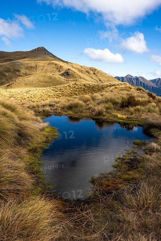 Mountain landscape with a small lake and tussock grass. Mount Burns, Borland Road Area, Fiordland National Park, Southland Region, South Island, New Zealand