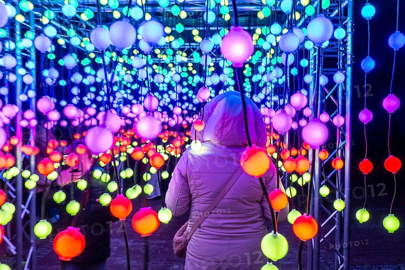 Park lights, winter event, in the Grugapark in Essen, many different light installations, across the park, attract many thousands of visitors, light work of art consisting of many hundreds of hanging ball lamps, LEDs, with changing colors, accessible, North Rhine-Westphalia, Germany