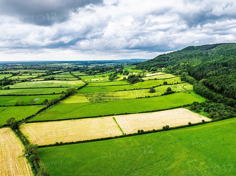 Farms and Fields over East Harlsey from a drone, North Yorkshire, England, United Kingdom