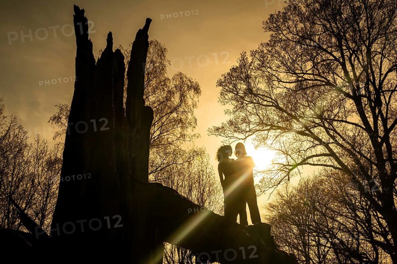 Silhouette of young couple standing on a solitary oak tree split and broken apart by lightning, Hohenlohe, Baden-Württemberg, Germany
