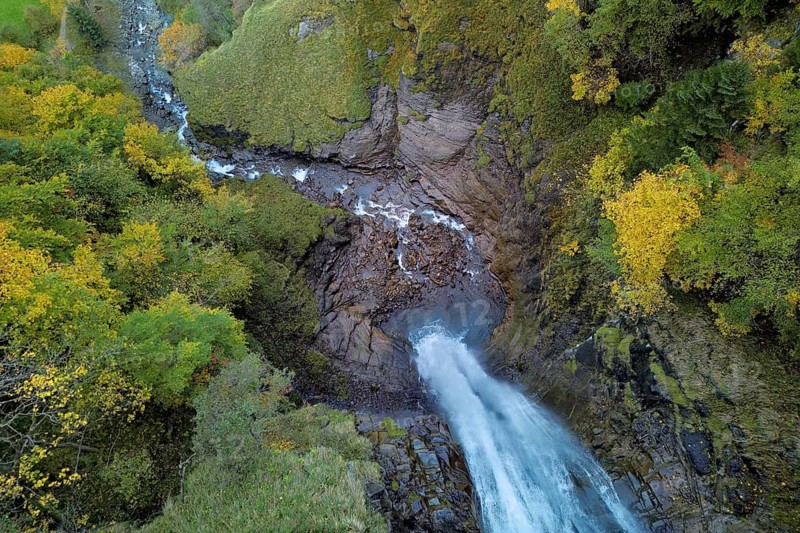 Autumn-coloured sycamore maple (Acer pseudo plantanus), at the Diesbach waterfall, Canton Glarus, Switzerland