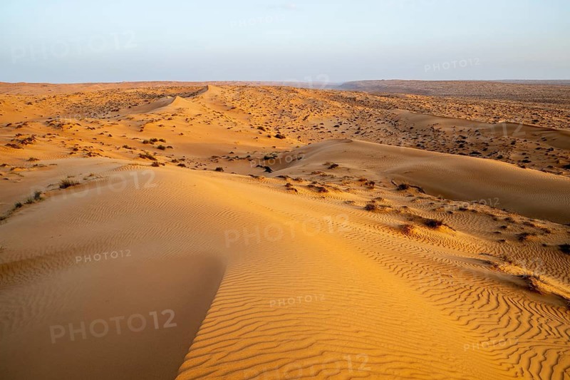 Sand dunes in the Wahiba Sands desert, Oman