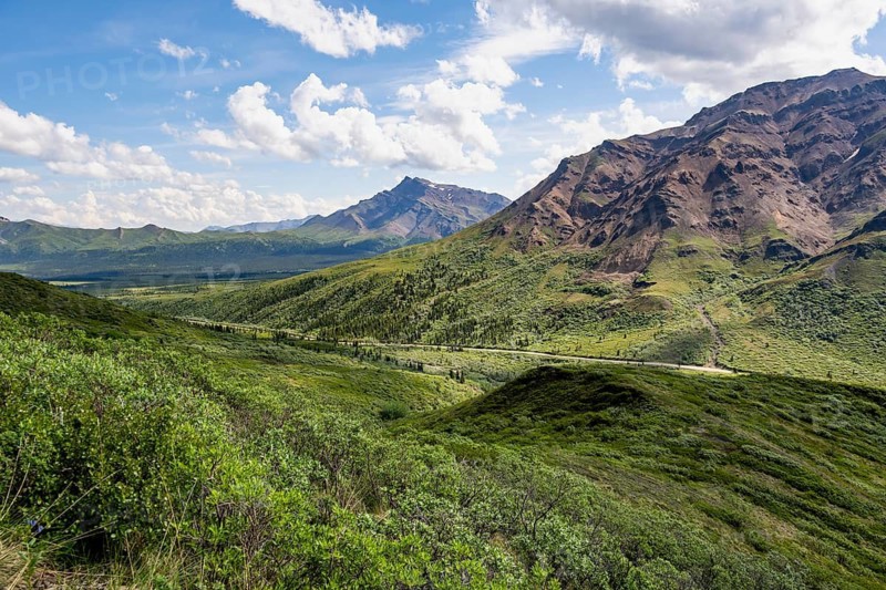 Tundra and mountainous landscape of the Alaska Range, Sable Pass, Denali National Park and Preserve, Alaska, USA