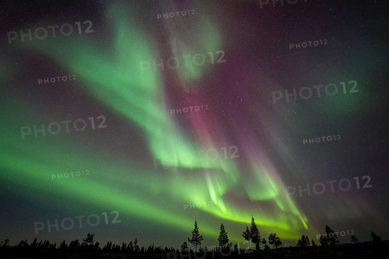 Northern Lights (Aurora borealis), Norrbotten, Lapland, Sweden, September 2024