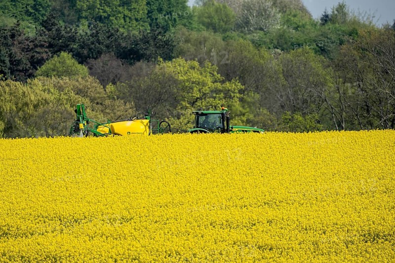 Agriculture, rapeseed field in full bloom, farmer sprays the field with a John Deere M952 trailer sprayer, plant protection products are sprayed against pests during rape bloom, rapeseed is particularly susceptible to pests during flowering, or is sprayed against fungal diseases, fungicides, all products must be compatible with bees, North Rhine-Westphalia, Germany