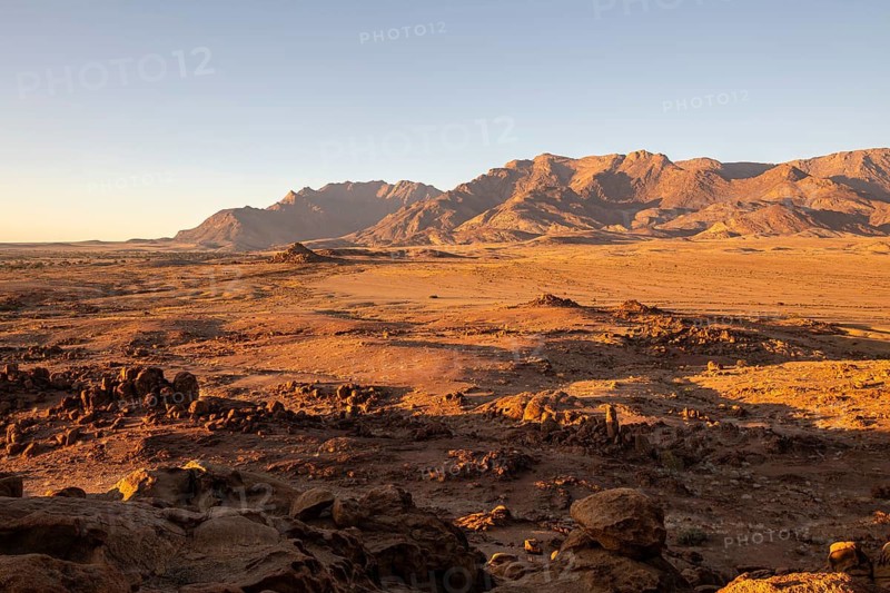 Desert landscape with Brandberg in morning light, at sunrise, Erongo, Damaraland, Namibia