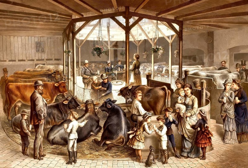 Milchkuranstalt Wille, Wille'sche Milchkuranstalt, milk bar, milk-drinking spa resort, 19th Century, Dresden, Saxony