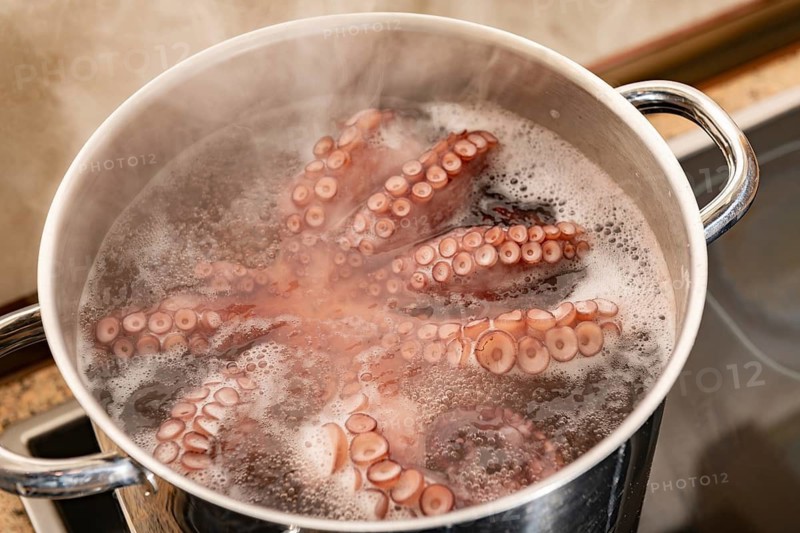 Octopus tentacles are boiling in a stainless steel pot, steam rising, showcasing a culinary process. The bubbling water highlights the cooking seafood in a kitchen setting