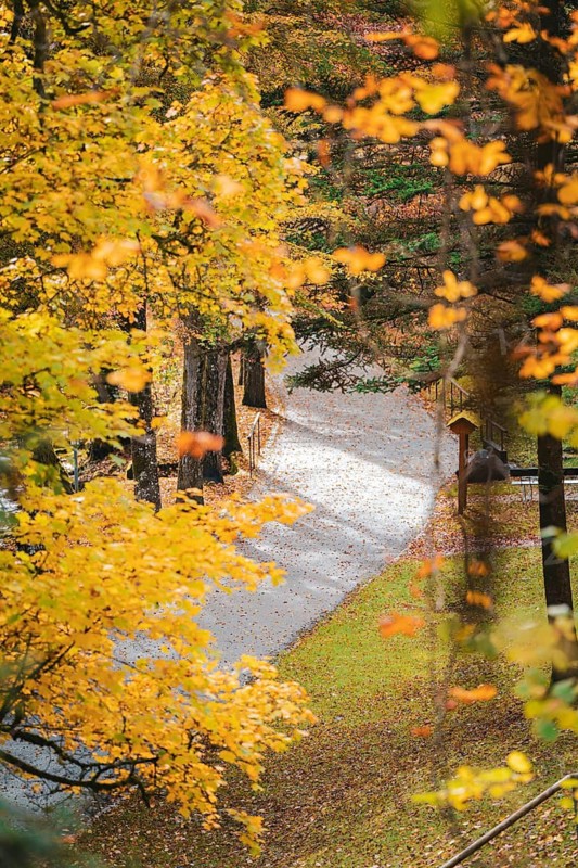 Alley in the spa gardens in autumn, Bad Wildbad, Black Forest, Germany