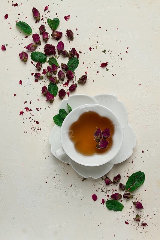 Cup of tea, damask rose, pink tea, close-up