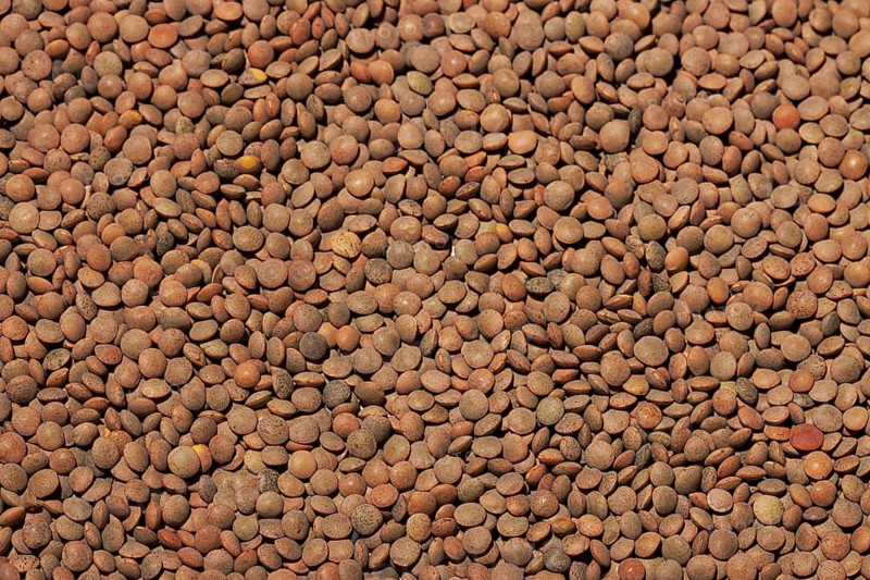 A high-quality image showing a dense, full-frame view of dry brown lentil seeds, highlighting their natural texture and colors