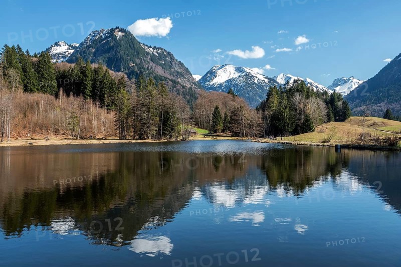 Moor, moor pond, water reflection, mountains of the Allgäu Alps behind, Oberstdorf, Oberallgäu, Allgäu, Bavaria, Germany