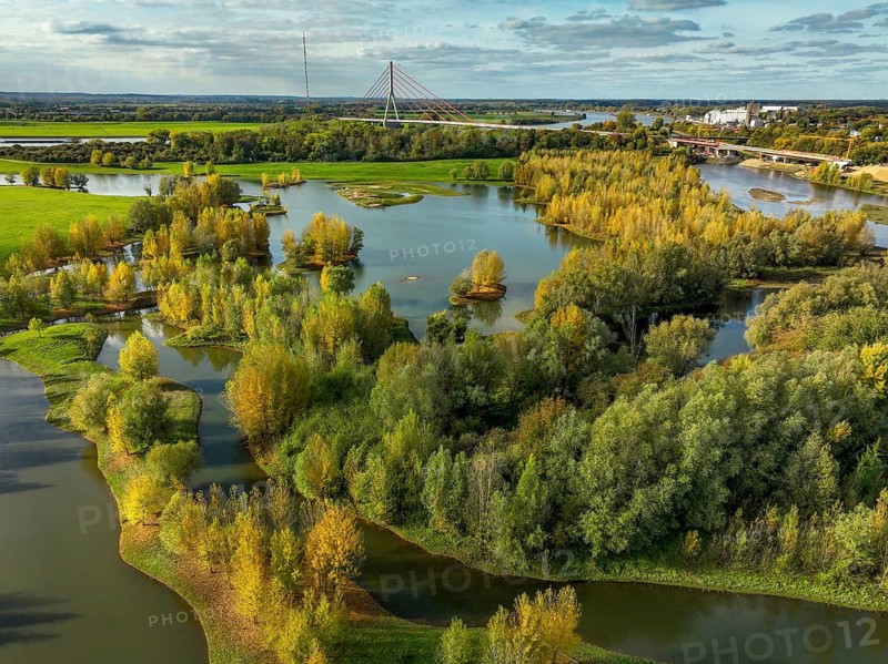 Wesel, Lower Rhine, North Rhine-Westphalia, Germany - autumn on the Lippe, trees with colorful autumn leaves in the restored river floodplain area of Büdericher Insel above the mouth of the Lippe into the Rhine, Lippe estuary nature reserve, in the back the Lower Rhine bridge Wesel