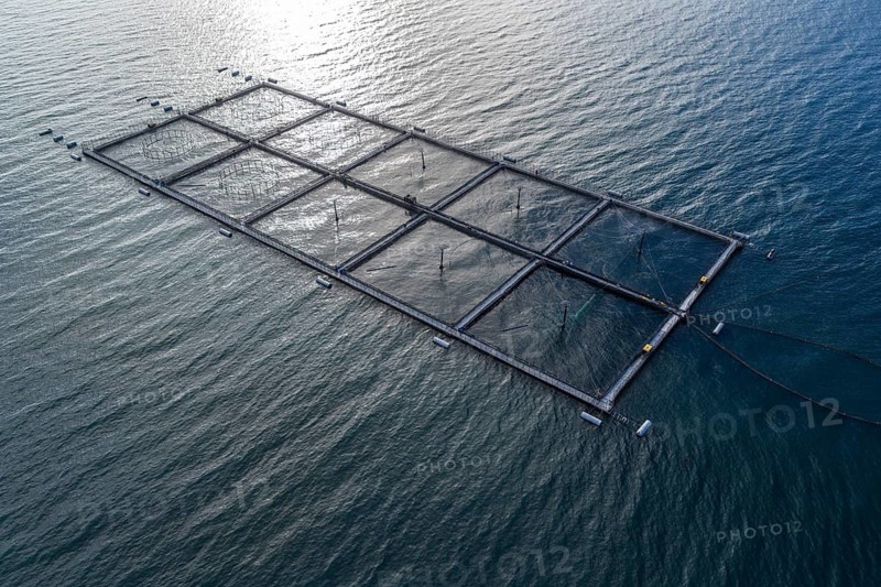 Salmon farm north of El Chaiten, aerial view, Chile